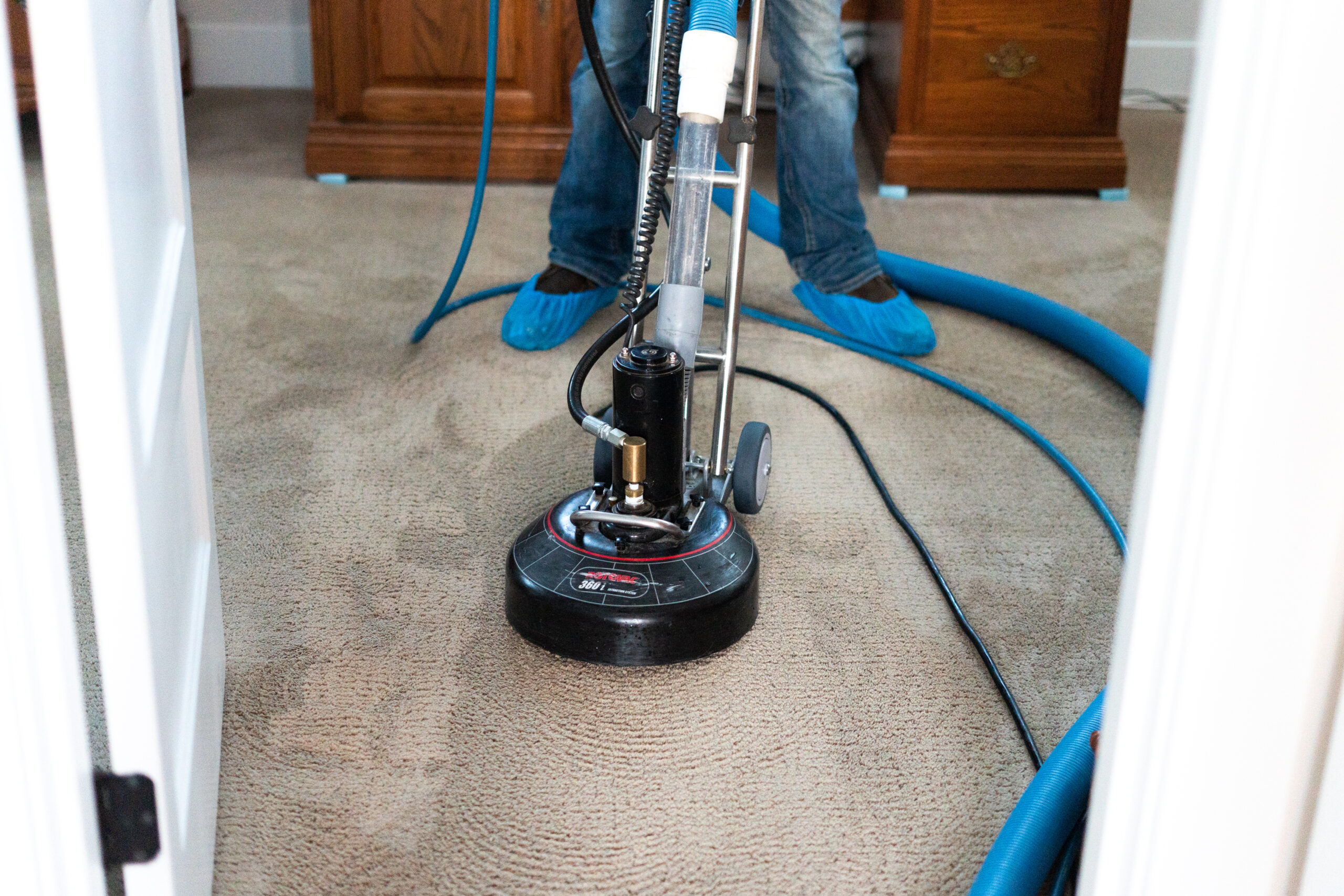 eco-friendly carpet cleaning profession, green cleans carpet fibers